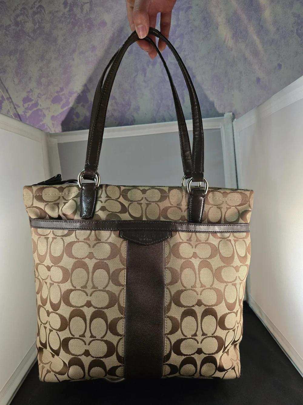 Coach Signature Canvas Tote Bag in Brown